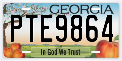 GA license plate PTE9864