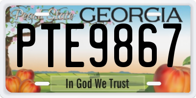 GA license plate PTE9867