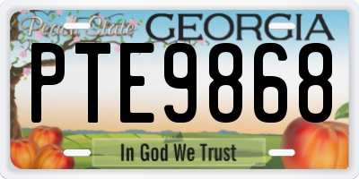 GA license plate PTE9868