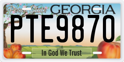 GA license plate PTE9870