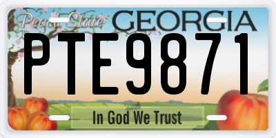 GA license plate PTE9871