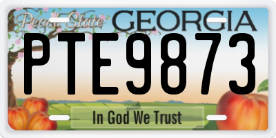GA license plate PTE9873