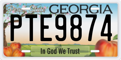 GA license plate PTE9874