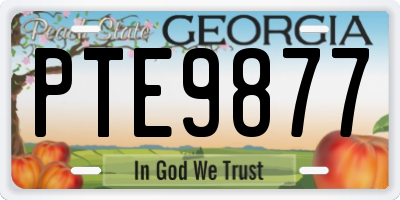 GA license plate PTE9877
