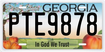GA license plate PTE9878