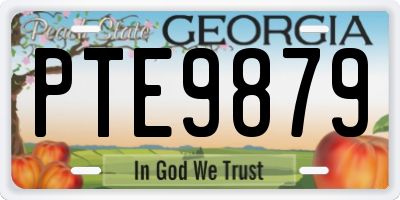 GA license plate PTE9879