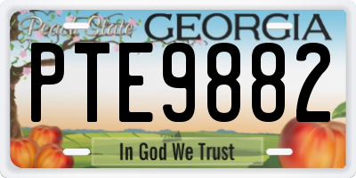 GA license plate PTE9882