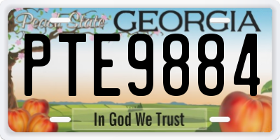 GA license plate PTE9884