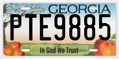 GA license plate PTE9885
