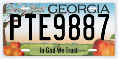 GA license plate PTE9887