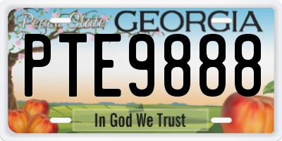 GA license plate PTE9888
