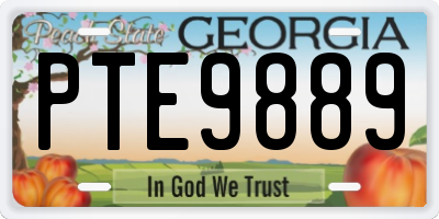 GA license plate PTE9889