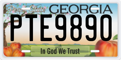 GA license plate PTE9890