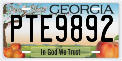 GA license plate PTE9892
