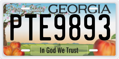 GA license plate PTE9893