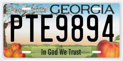 GA license plate PTE9894