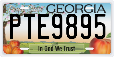 GA license plate PTE9895