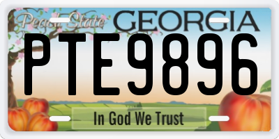 GA license plate PTE9896