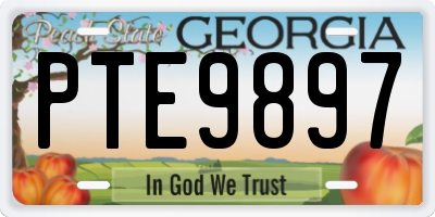 GA license plate PTE9897
