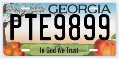 GA license plate PTE9899
