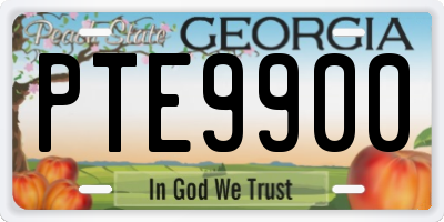 GA license plate PTE9900