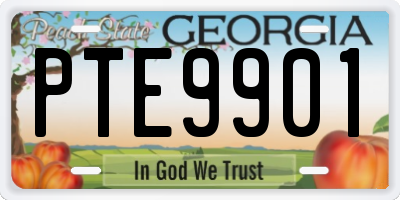 GA license plate PTE9901