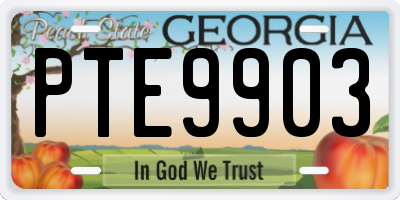 GA license plate PTE9903