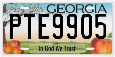 GA license plate PTE9905