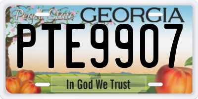GA license plate PTE9907