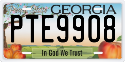 GA license plate PTE9908