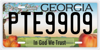 GA license plate PTE9909