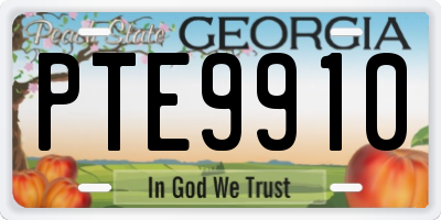 GA license plate PTE9910
