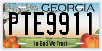 GA license plate PTE9911
