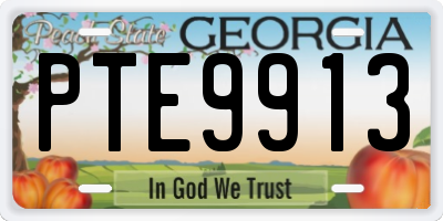 GA license plate PTE9913
