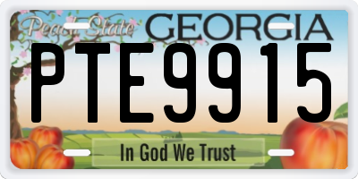 GA license plate PTE9915