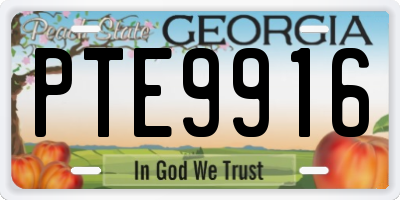 GA license plate PTE9916