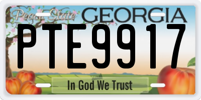 GA license plate PTE9917