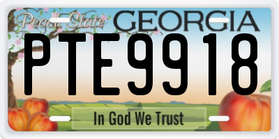 GA license plate PTE9918