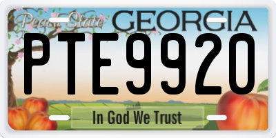 GA license plate PTE9920