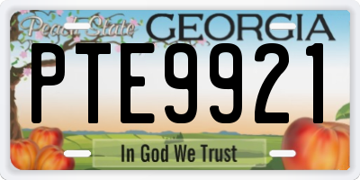GA license plate PTE9921