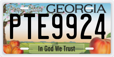 GA license plate PTE9924