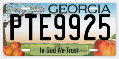 GA license plate PTE9925
