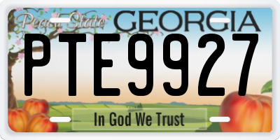 GA license plate PTE9927