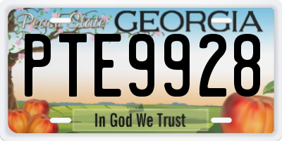 GA license plate PTE9928