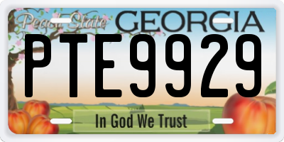 GA license plate PTE9929