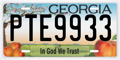 GA license plate PTE9933