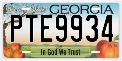 GA license plate PTE9934