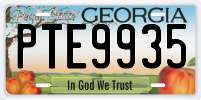 GA license plate PTE9935