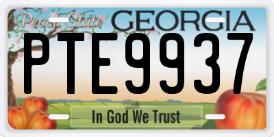GA license plate PTE9937