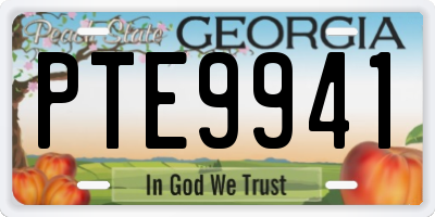 GA license plate PTE9941
